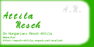 attila mesch business card